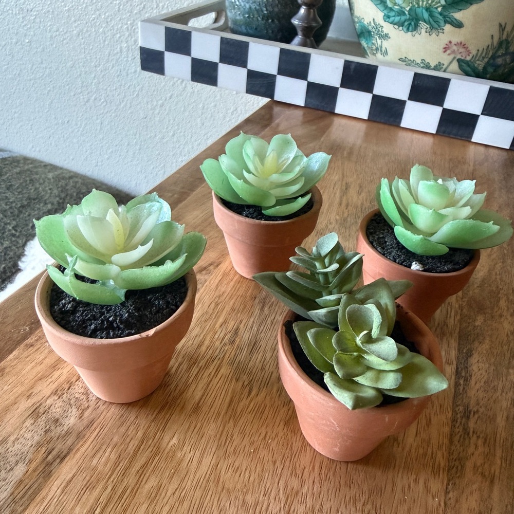 Set of new small decor succulent plant 4 qty table top home accent mini event